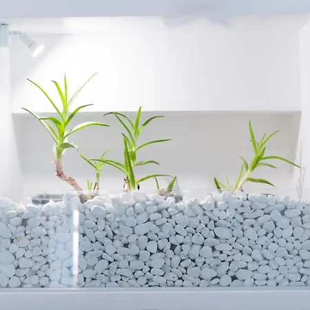 Appartamento Dimora Barocca Luxury Lecce